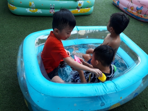 MÙA HÈ CỦA CÁC BẠN KHỐI LÁ