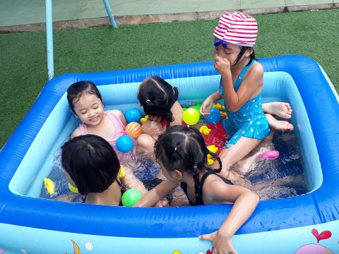 MÙA HÈ CỦA CÁC BẠN KHỐI LÁ