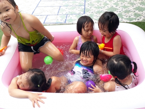 MÙA HÈ CỦA CÁC BẠN KHỐI LÁ