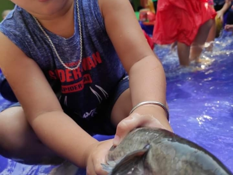 BÉ ĐI BÁCH HÓA XANH