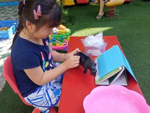 LỚP LÁ PHÁT TRIỂN VẬN ĐỘNG TINH