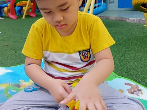 LỚP LÁ PHÁT TRIỂN VẬN ĐỘNG TINH