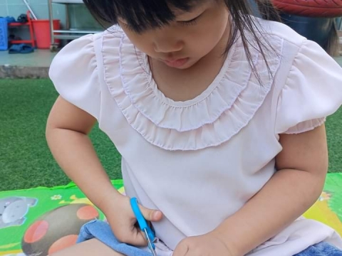 LỚP LÁ PHÁT TRIỂN VẬN ĐỘNG TINH