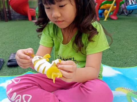 LỚP LÁ PHÁT TRIỂN VẬN ĐỘNG TINH