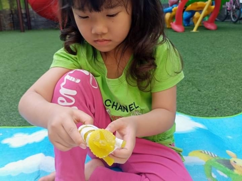 LỚP LÁ PHÁT TRIỂN VẬN ĐỘNG TINH