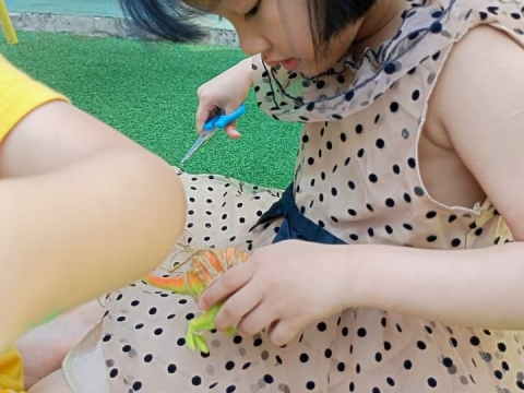 LỚP LÁ PHÁT TRIỂN VẬN ĐỘNG TINH