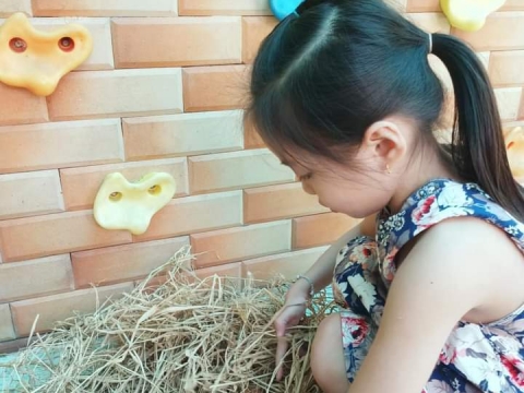 BÉ DÃ NGOẠI TRONG SÂN TRƯỜNG