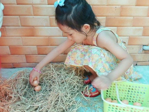 BÉ DÃ NGOẠI TRONG SÂN TRƯỜNG