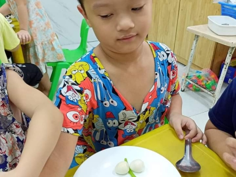 BÉ LÀM CƠM BENTO