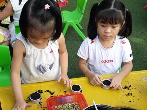 BÉ GIEO HẠT TRỒNG CÂY