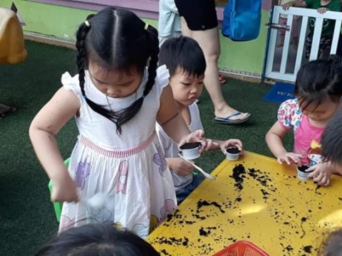 BÉ GIEO HẠT TRỒNG CÂY