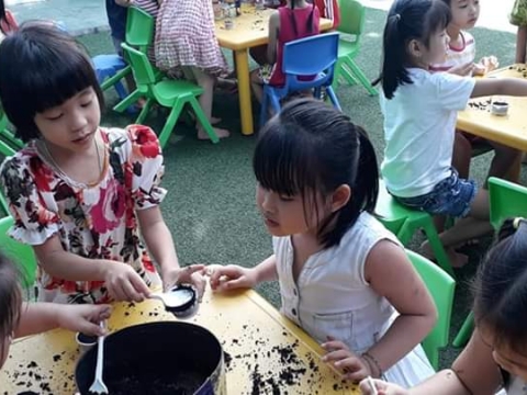 BÉ GIEO HẠT TRỒNG CÂY