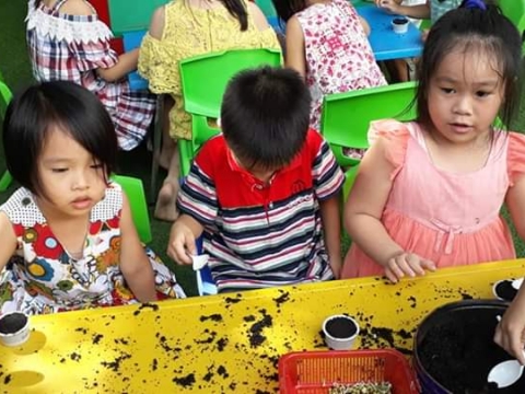 BÉ GIEO HẠT TRỒNG CÂY