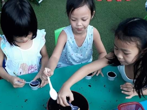 BÉ GIEO HẠT TRỒNG CÂY