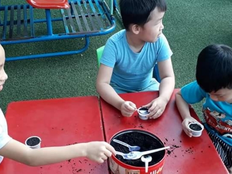 BÉ GIEO HẠT TRỒNG CÂY