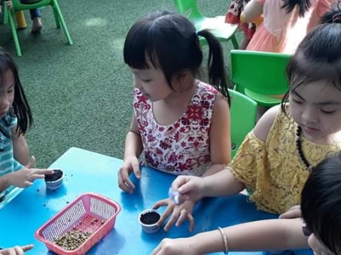 BÉ GIEO HẠT TRỒNG CÂY