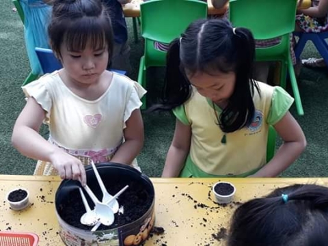 BÉ GIEO HẠT TRỒNG CÂY