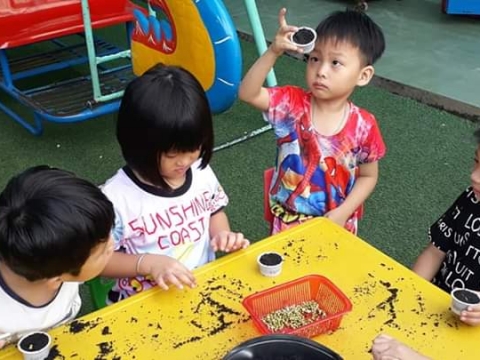 BÉ GIEO HẠT TRỒNG CÂY