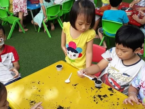 BÉ GIEO HẠT TRỒNG CÂY