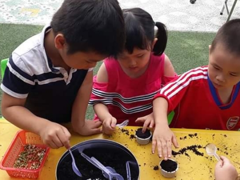 BÉ GIEO HẠT TRỒNG CÂY