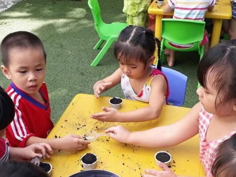 BÉ GIEO HẠT TRỒNG CÂY