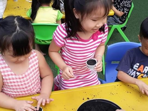 BÉ GIEO HẠT TRỒNG CÂY