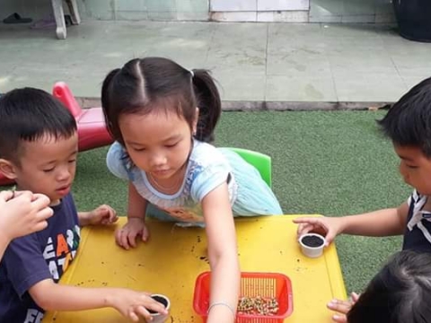 BÉ GIEO HẠT TRỒNG CÂY